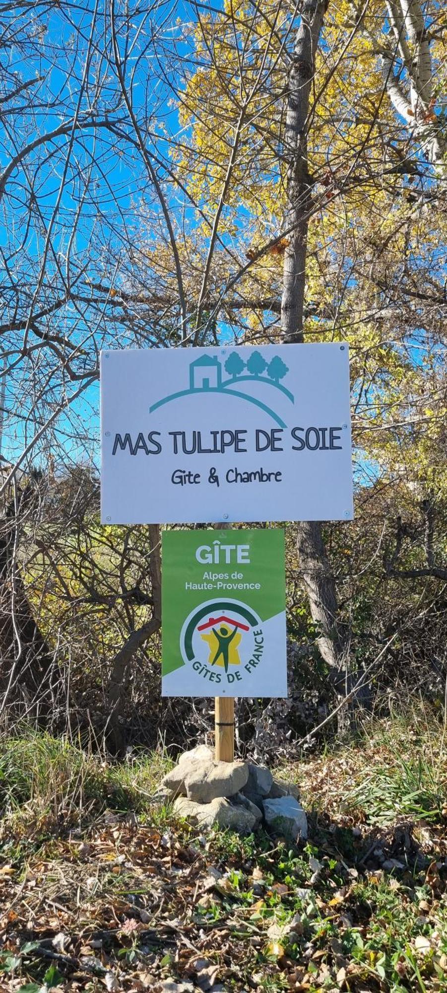Mas Tulipe De Soie Panzió Bevons Kültér fotó